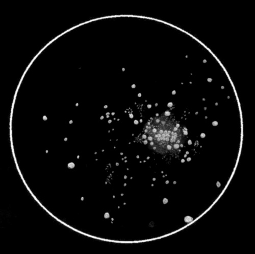 NGC7099v5szkic14cali.jpg