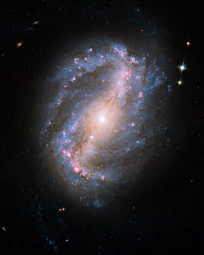 NGC6217v1.jpg