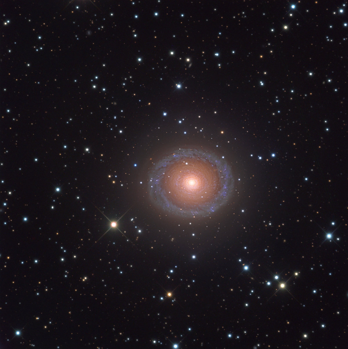 NGC7217v2.jpg