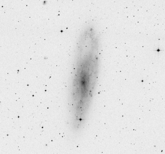 NGC 247.jpg