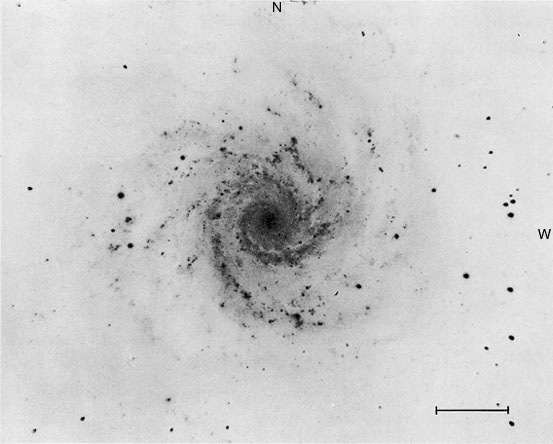 NGC628.jpeg