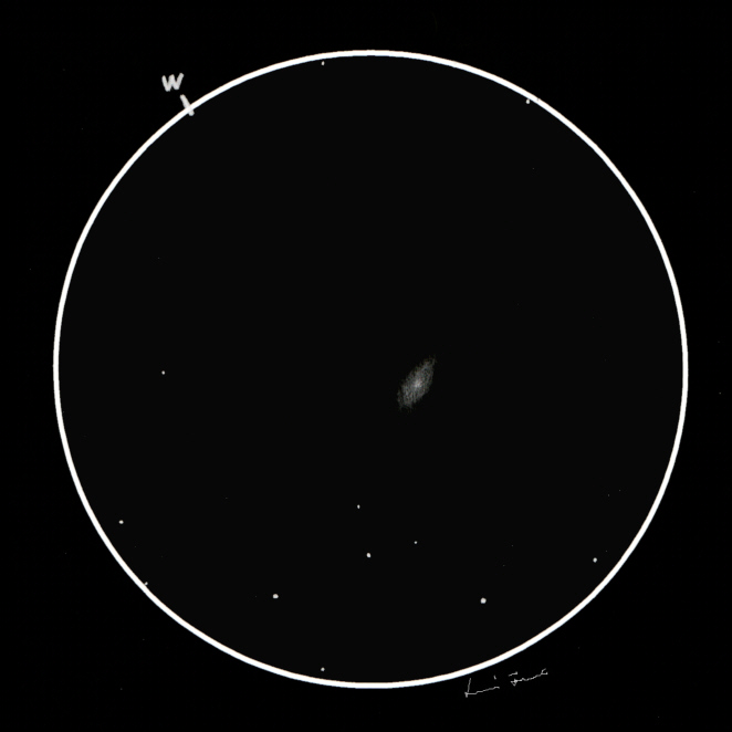 NGC3941szkic12cali.jpg