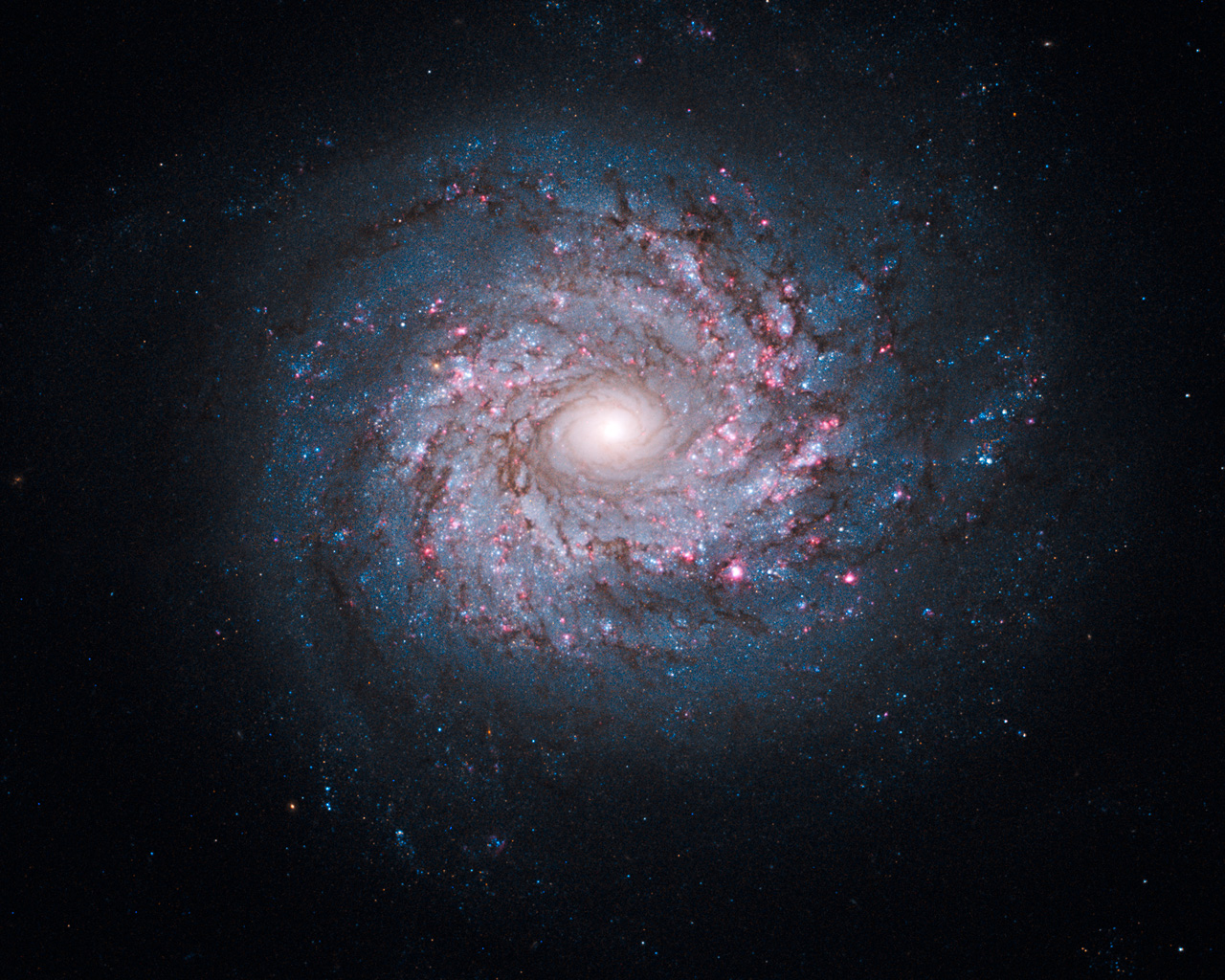 NGC3982v1.jpg