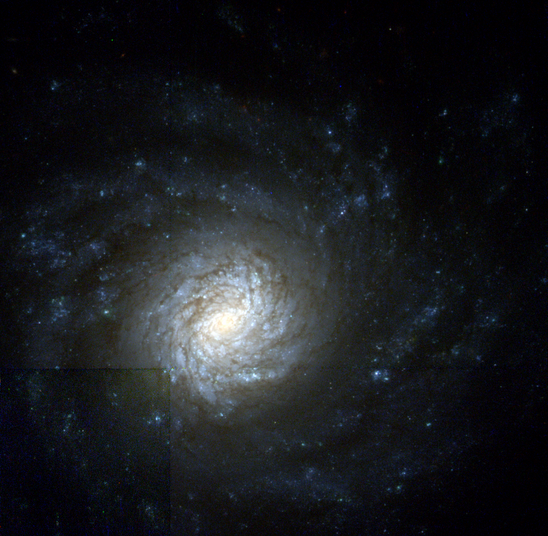 NGC4041v1.png
