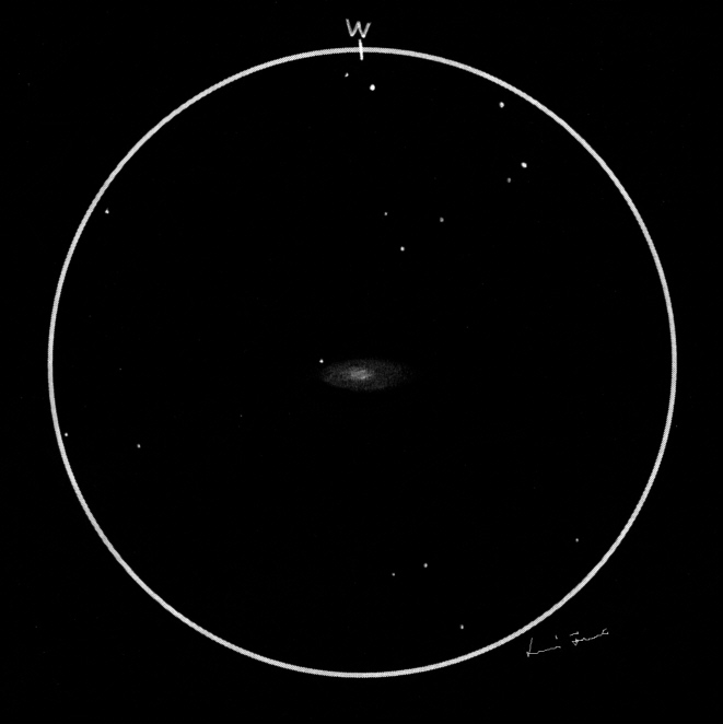 NGC5033szkic12cali.jpg
