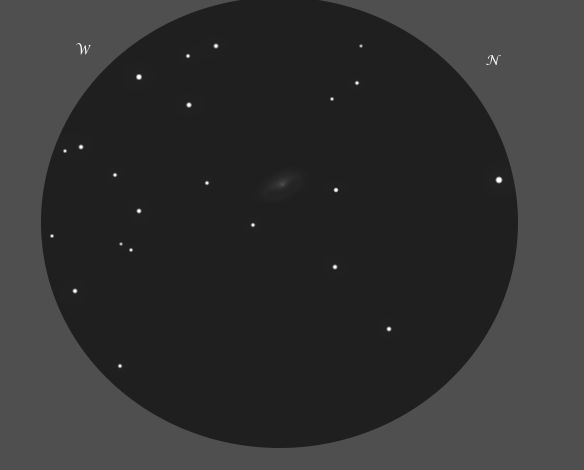 NGC5676szkic14cali.jpg