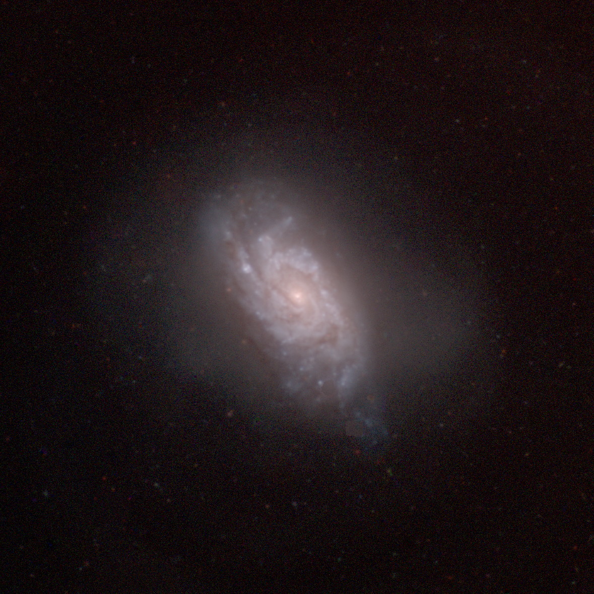NGC1084v1.jpg