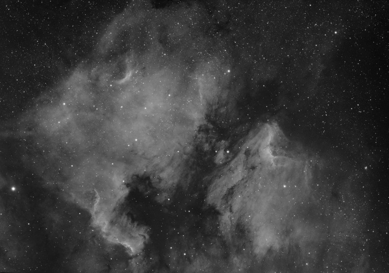 NGC7000_IC5070_cv2.jpg