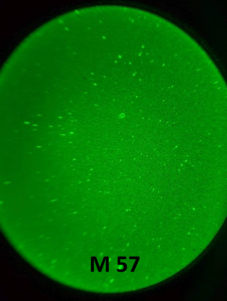 m57.png