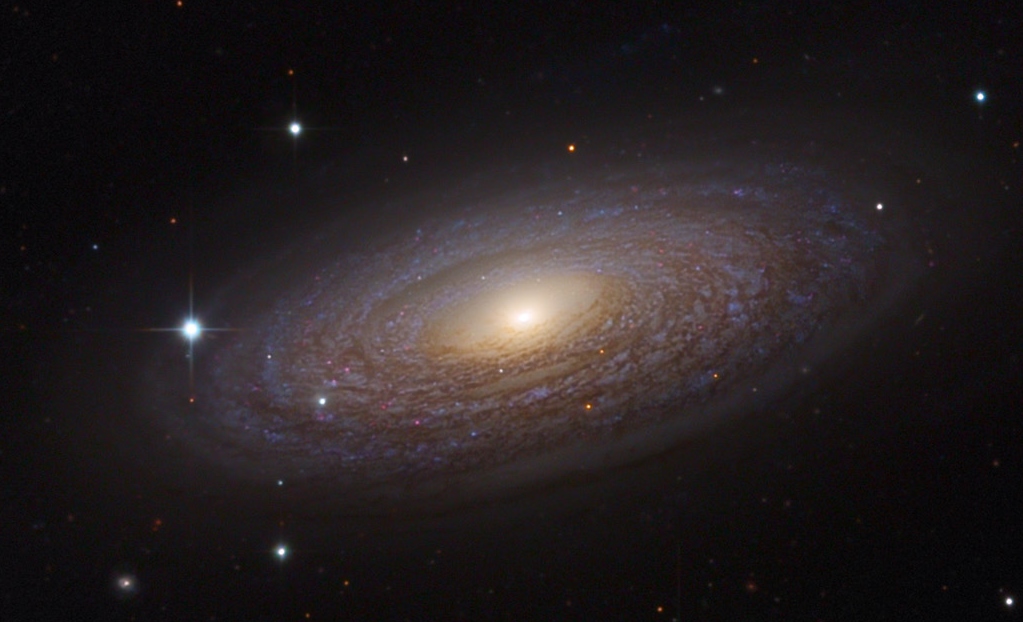 NGC2841v2.jpg