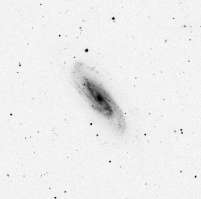 NGC3198v4.jpg