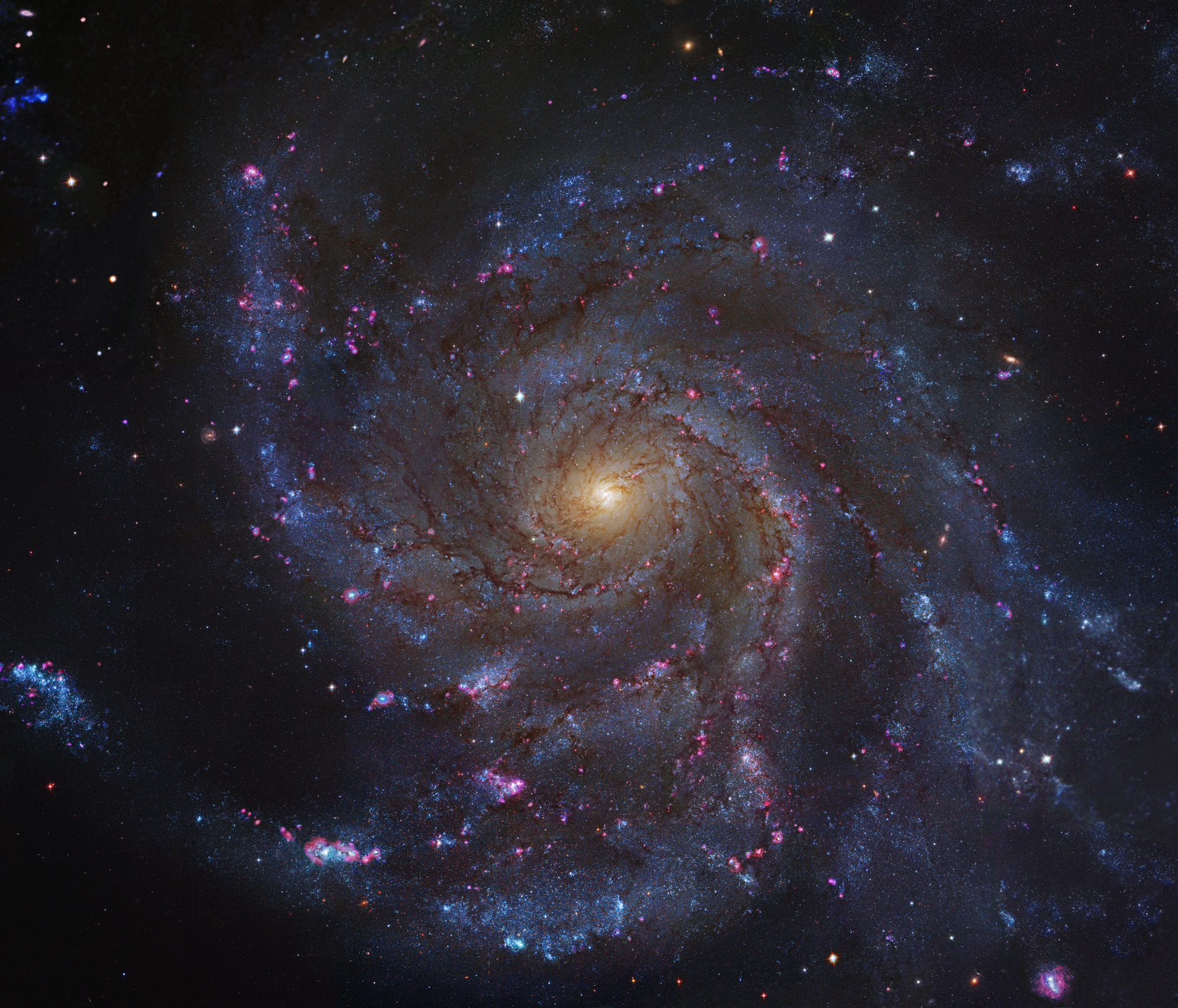 M101v1.jpg